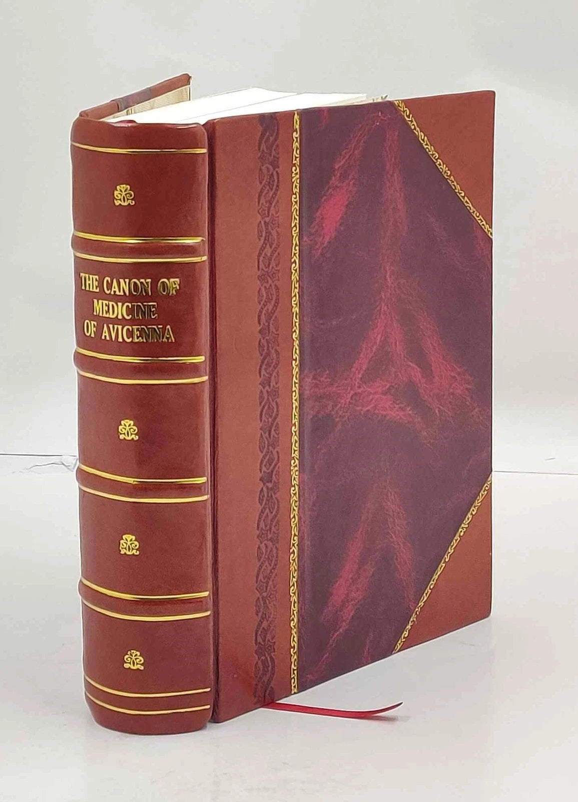 Der Kanon der Medizin von Avicenna (Digitale Ausgabe)